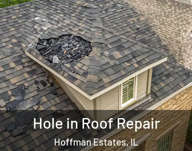  Hole in Roof Repair Hoffman Estates, IL