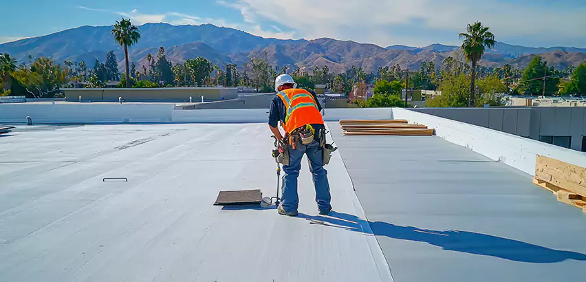 Professional Roof Coating Services in Hoffman Estates, IL