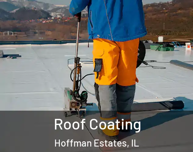  Roof Coating Hoffman Estates, IL