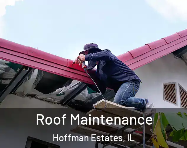  Roof Maintenance Hoffman Estates, IL