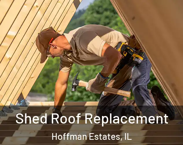  Shed Roof Replacement Hoffman Estates, IL