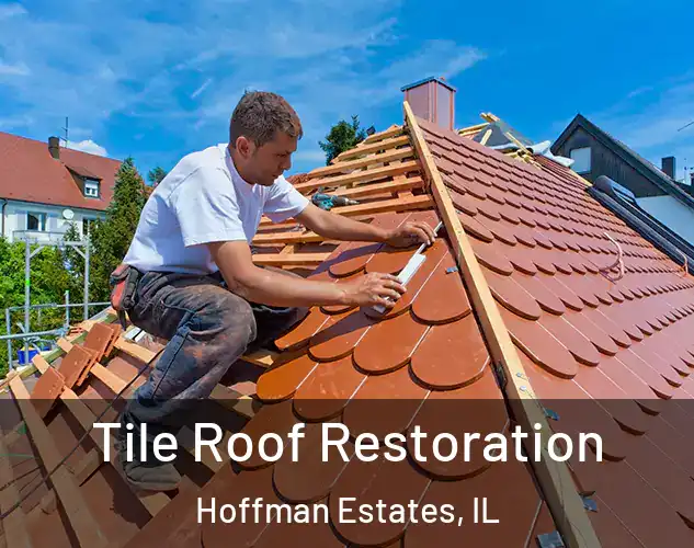  Tile Roof Restoration Hoffman Estates, IL
